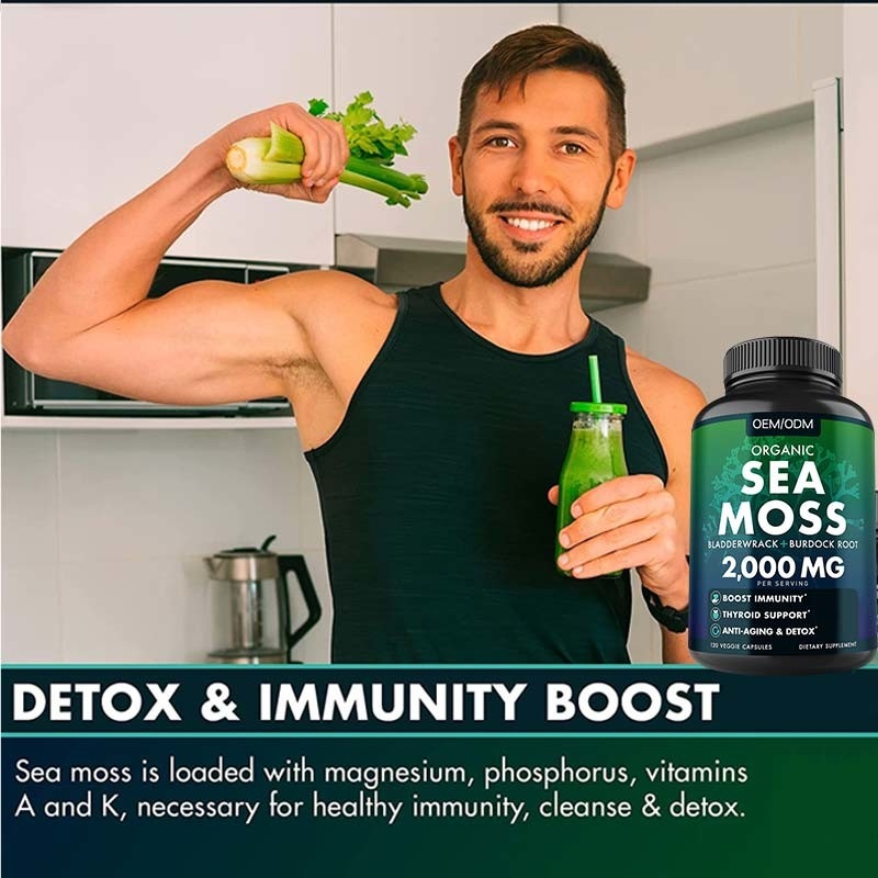 Mar orgánico Unflavored Moss Raw de Moss Capsules Wildcrafted Non GMO del mar 60 píldoras libres de Seamoss del gluten