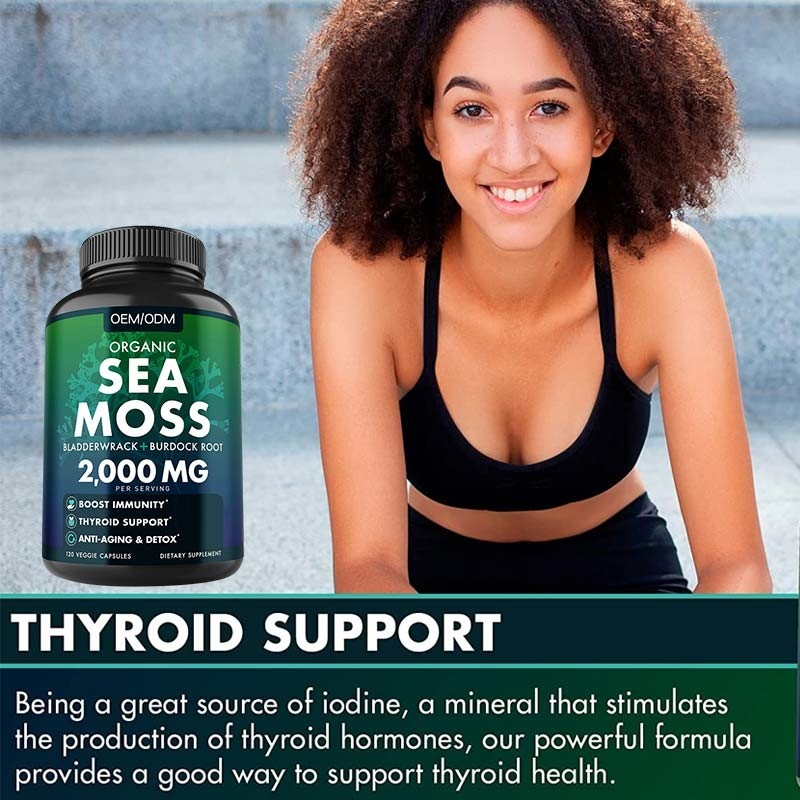 Mar orgánico Unflavored Moss Raw de Moss Capsules Wildcrafted Non GMO del mar 60 píldoras libres de Seamoss del gluten