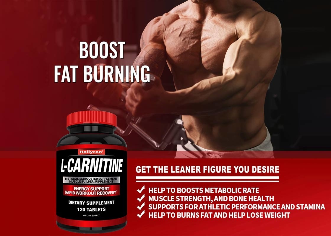Grado alimenticio L-carnitina ayuda a aumentar la tasa metabólica fuerza muscular