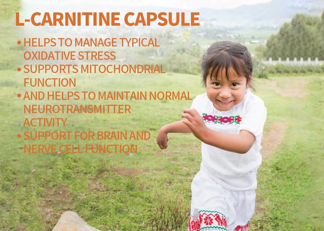 OEM L-carnitina cápsulas de apoyo para el cerebro y la función de las células nerviosas cápsulas de vegetales de apoyo para la memoria y el enfoque