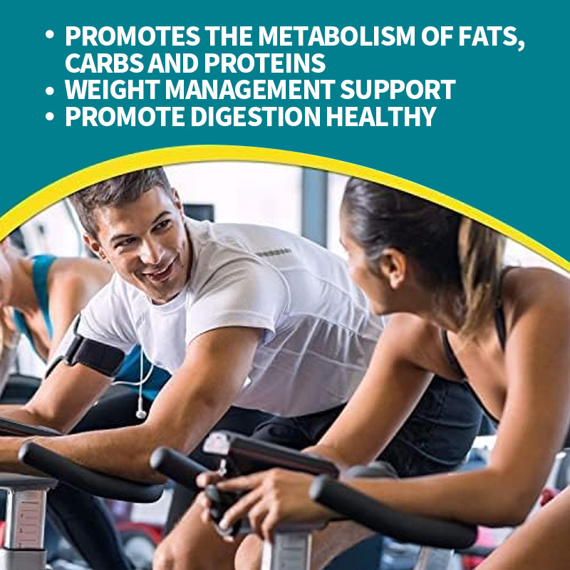 Capsulas probióticas para un metabolismo saludable Control de peso Suplemento de salud intestinal Capsulas para bajar de peso