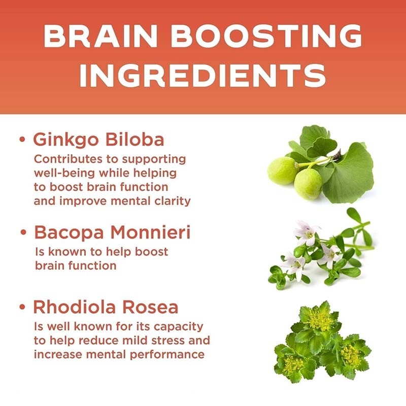 Apoyo OEM Vitaminas vitales Suplementos cerebrales para la memoria Vitamina B12 Cápsulas cerebrales