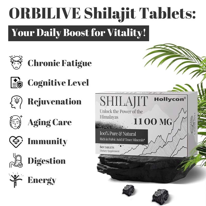 Shilajit Tabletas Energía Apoyo inmunológico Shilajit orgánico para hombres y mujeres
