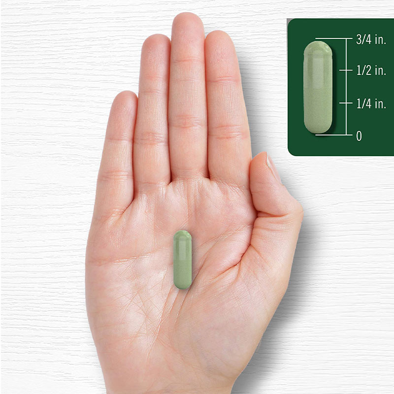Capsulas de polvo de moringa para el apoyo de las articulaciones