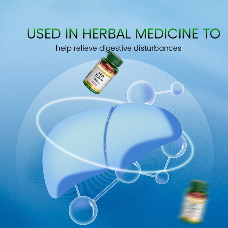 Gelas suaves de cardo mariano para apoyar la función hepática 1000mg Gelas suaves de cardo mariano