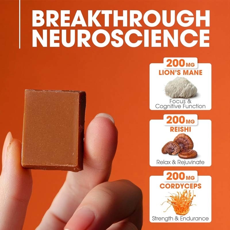 Plantas de fábrica Cordyceps Nootrópicos hongo apoyo de energía enfoque salud cerebral inmunidad Ganoderma Lucidum hongo masticación suave