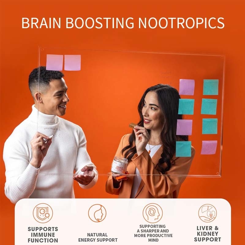 Plantas de fábrica Cordyceps Nootrópicos hongo apoyo de energía enfoque salud cerebral inmunidad Ganoderma Lucidum hongo masticación suave