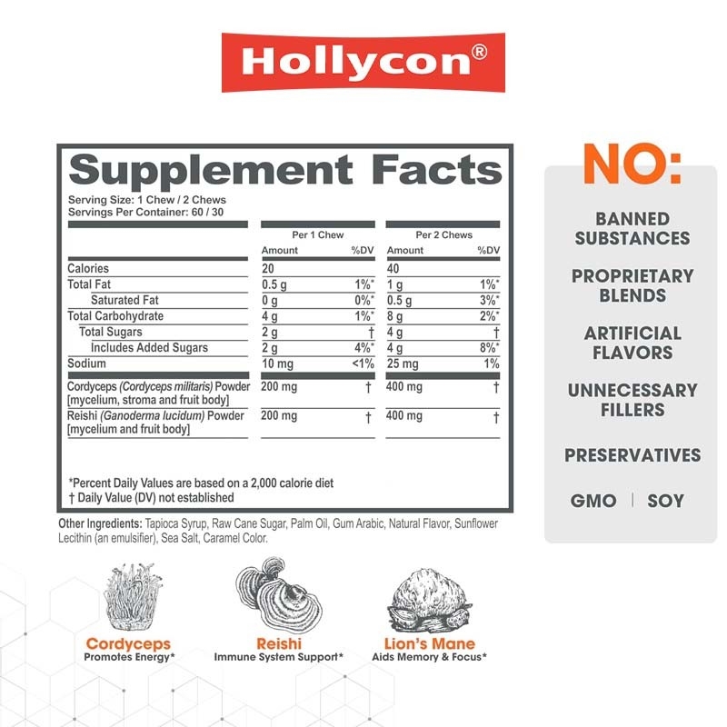Plantas de fábrica Cordyceps Nootrópicos hongo apoyo de energía enfoque salud cerebral inmunidad Ganoderma Lucidum hongo masticación suave