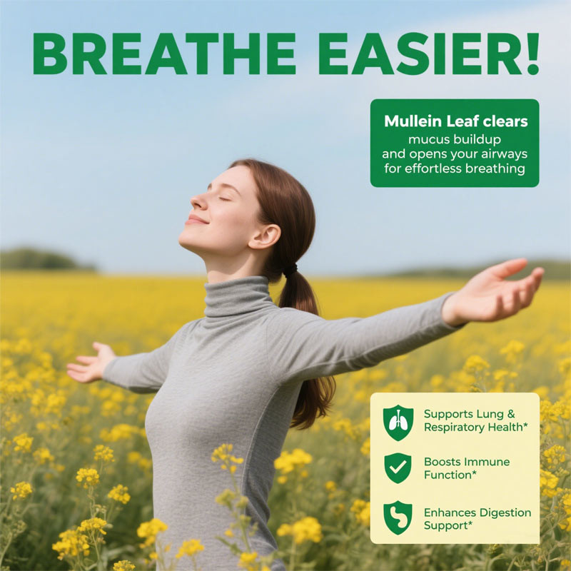Premium Mullein Leaf Extract for Lungs, 2000mg Mullein Gummies for Lungs Detox, Respiratory Digestive Immune Support