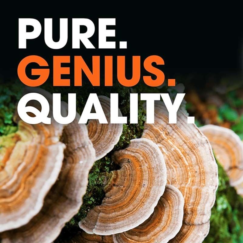 OEM Promoviendo el bienestar general Apoyo Mecanismos naturales de defensa del cuerpo Combate los problemas oxidativos Cápsulas de cola de pavo