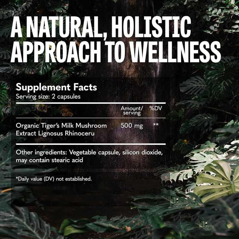 Suplemento de hongos para el crecimiento del cabello, la salud intestinal, digestiva, cerebral y pulmonar, enfoque cognitivo, respiratorio, cápsulas de hongos leche de tigre