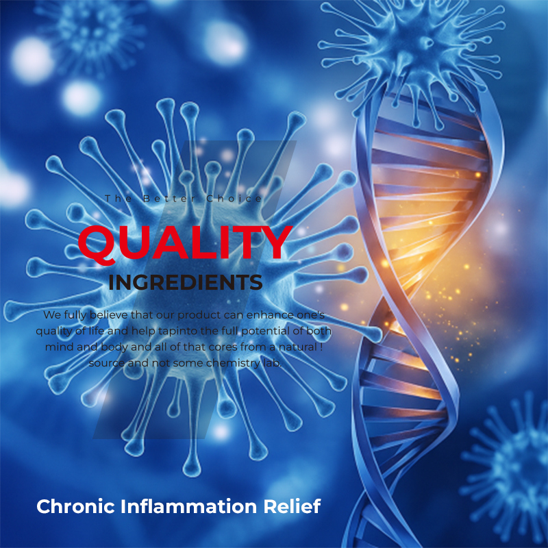 Cápsulas de cúrcuma de marca privada con 100 cápsulas por botella para el apoyo digestivo y una dosis diaria de 3 cápsulas