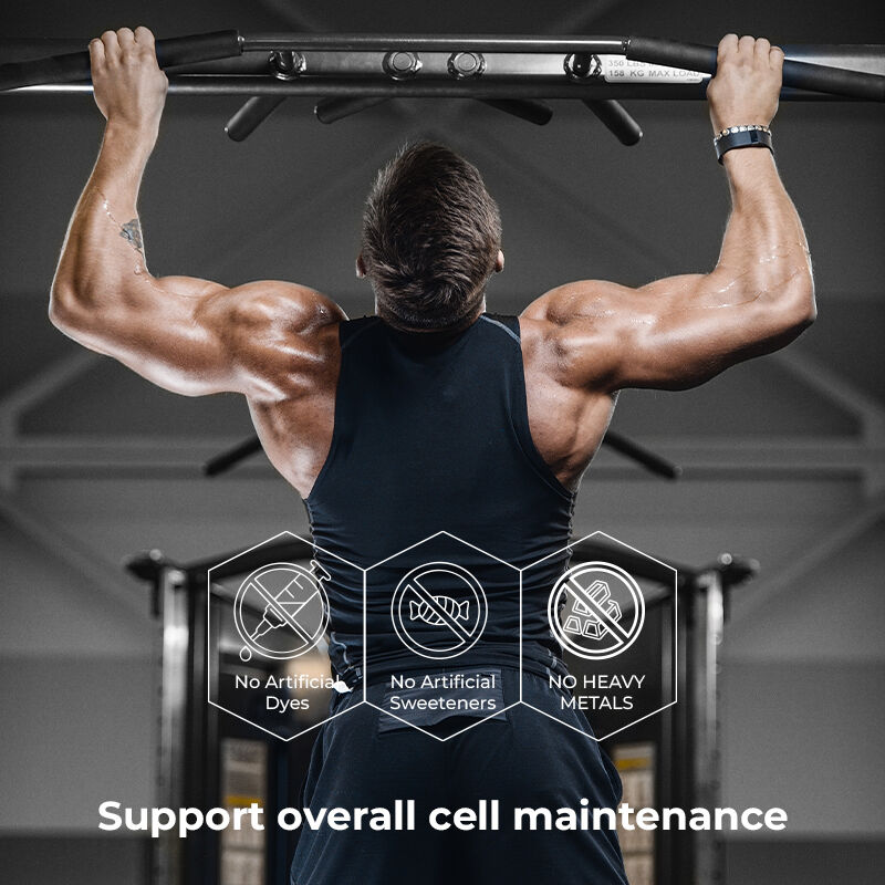 Etiqueta privada Shilajit Gummies masculino Fulvic ácido de azúcar libre de suplemento Mantener niveles normales de energía y la función inmune