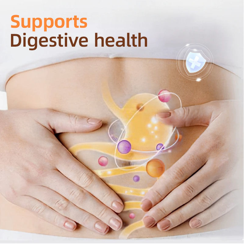 OEM/ODM Adult Psyllium Husk Capsules Digestive Health & Regularity Support Gluten-Free Dietary Supplement