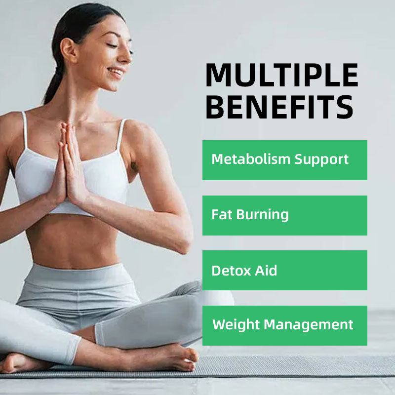 Extracto Natural de Planta al por Mayor para Control de Peso, Aumento del Metabolismo, Quema de Grasa, Supresión del Apetito, Solución Oral Adelgazante
