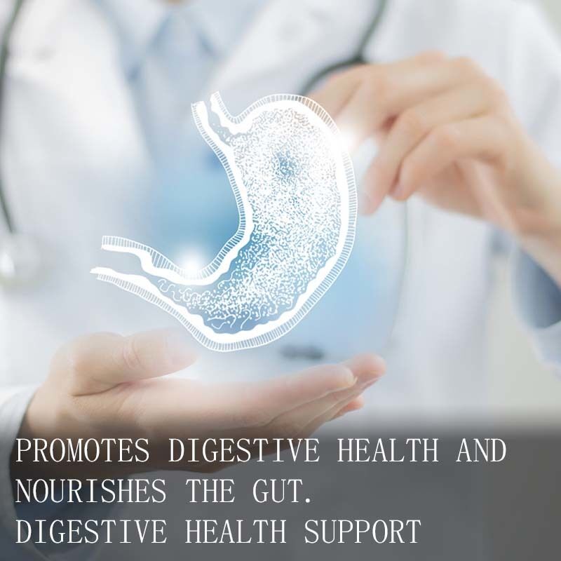 Wholesale Prebiotic Fiber Powder Promotes Digestive Health and Nourishes the Gut Soluble Daily Dietary Supplement