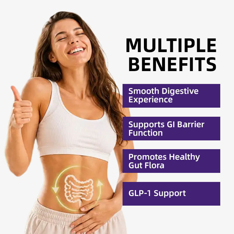 Metabolic Balance Botanical Capsules | Natural Daily Metabolic Wellness Supplement, OEM ODM Private Label Customizable