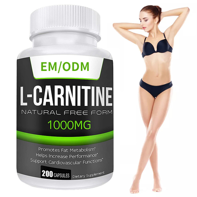 MSDS Suplementos para cortar grasa Nutrición Extra fuerza L-carnitina cápsulas adelgazantes