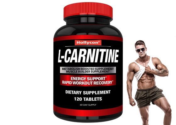 Grado alimenticio L-carnitina ayuda a aumentar la tasa metabólica fuerza muscular