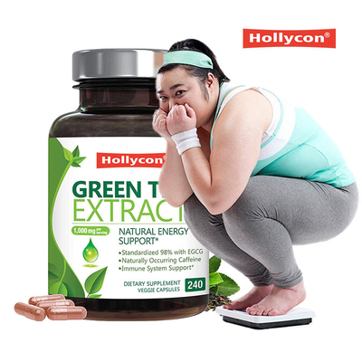 Extracto de té verde cápsulas para adelgazar cápsulas antioxidante L teanina en polvo