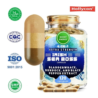 Suministrador Cápsulas de musgo de mar irlandés Aumentan la energía Mejoran las articulaciones Óso de polvo de musgo de mar
