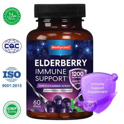 Fábrica Sambucus Black Elderberry Cápsulas Suplemento de apoyo inmunológico Antioxidante