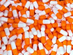 Cápsulas de Hollycon